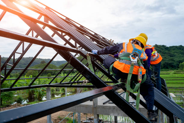 Best Roof Waterproofing Services  in Nederland, CO