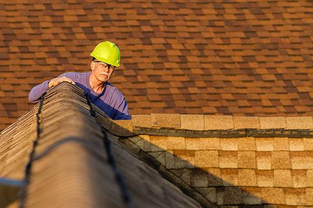Roof Gutter Cleaning in Nederland, CO