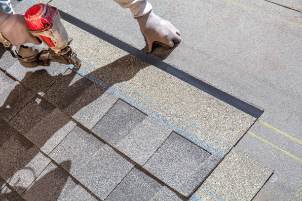 Best Roof Repair Services  in Nederland, CO